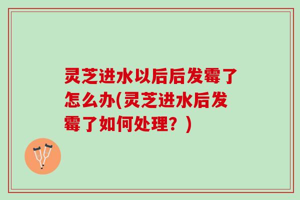 灵芝进水以后后发霉了怎么办(灵芝进水后发霉了如何处理？)