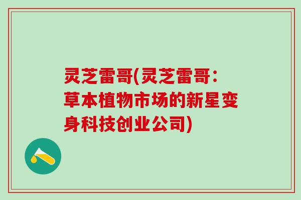 灵芝雷哥(灵芝雷哥：草本植物市场的新星变身科技创业公司)