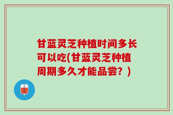 甘蓝灵芝种植时间多长可以吃(甘蓝灵芝种植周期多久才能品尝?) 甘蓝灵芝种植时间多长可以吃(甘蓝灵芝种植周期多久才能品尝?)