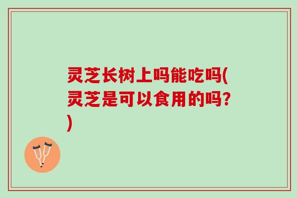 灵芝长树上吗能吃吗(灵芝是可以食用的吗？)