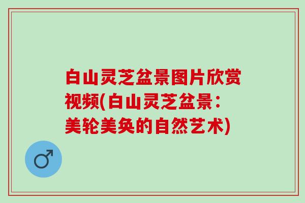 白山灵芝盆景图片欣赏视频(白山灵芝盆景：美轮美奂的自然艺术)
