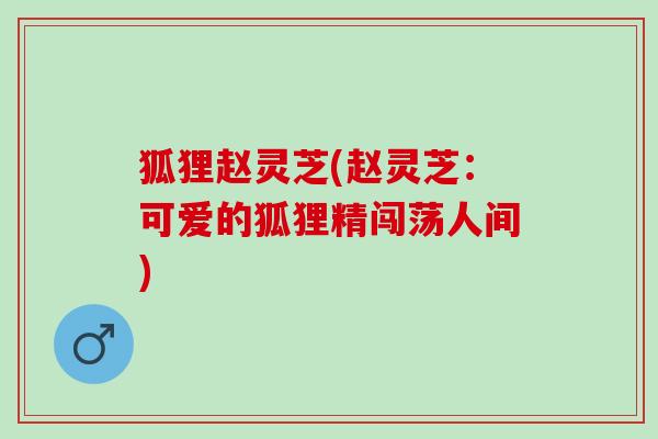狐狸赵灵芝(赵灵芝：可爱的狐狸精闯荡人间)