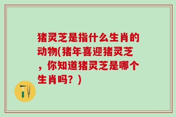 猪灵芝是指什么生肖的动物(猪年喜迎猪灵芝，你知道猪灵芝是哪个生肖吗？)