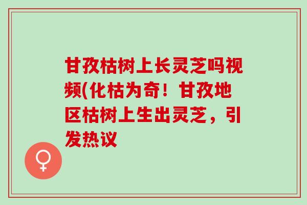 甘孜枯树上长灵芝吗视频(化枯为奇！甘孜地区枯树上生出灵芝，引发热议