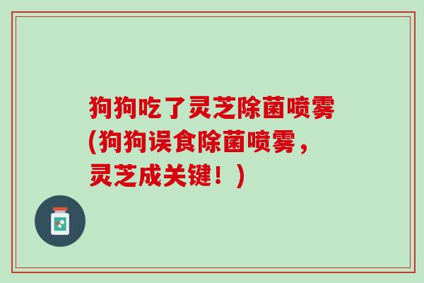 狗狗吃了灵芝除菌喷雾(狗狗误食除菌喷雾，灵芝成关键！)