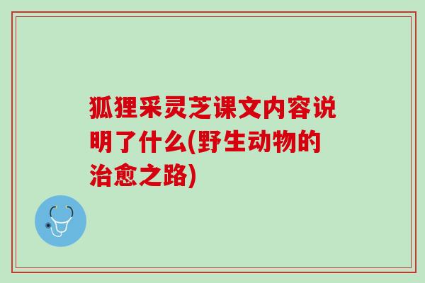 狐狸采灵芝课文内容说明了什么(野生动物的治愈之路)