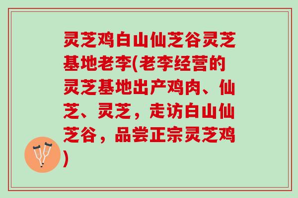灵芝鸡白山仙芝谷灵芝基地老李(老李经营的灵芝基地出产鸡肉、仙芝、灵芝，走访白山仙芝谷，品尝正宗灵芝鸡)