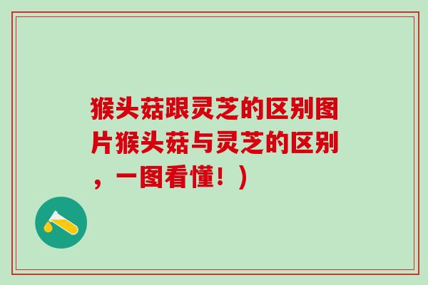 猴头菇跟灵芝的区别图片猴头菇与灵芝的区别，一图看懂！)