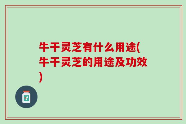 牛干灵芝有什么用途(牛干灵芝的用途及功效)