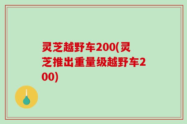 灵芝越野车200(灵芝推出重量级越野车200)