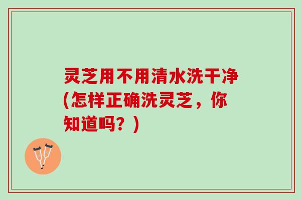灵芝用不用清水洗干净(怎样正确洗灵芝,你知道吗?) 灵芝用不用清水洗干净(怎样正确洗灵芝,你知道吗?)