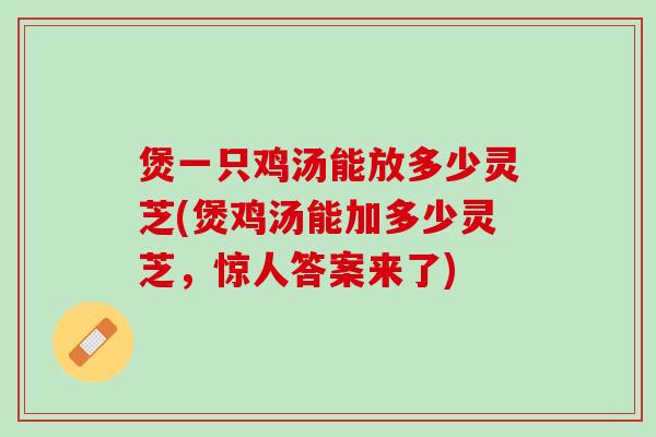 煲一只鸡汤能放多少灵芝(煲鸡汤能加多少灵芝，惊人答案来了)