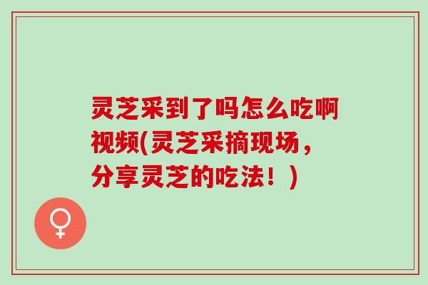 灵芝采到了吗怎么吃啊视频(灵芝采摘现场，分享灵芝的吃法！)
