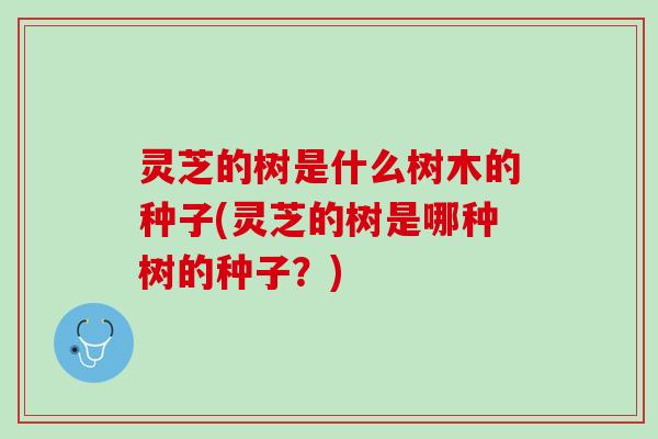 灵芝的树是什么树木的种子(灵芝的树是哪种树的种子?) 灵芝的树是什么树木的种子(灵芝的树是哪种树的种子?)