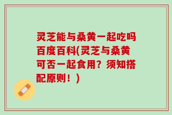 灵芝能与桑黄一起吃吗百度百科(灵芝与桑黄可否一起食用？须知搭配原则！)