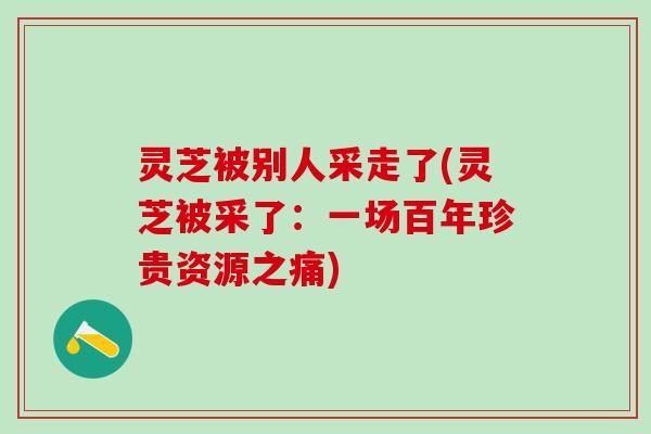 灵芝被别人采走了(灵芝被采了：一场百年珍贵资源之痛)