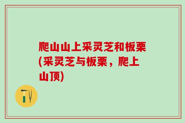 爬山山上采灵芝和板栗(采灵芝与板栗，爬上山顶)