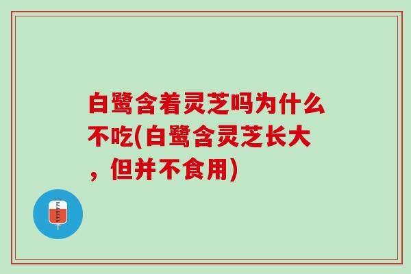 白鹭含着灵芝吗为什么不吃(白鹭含灵芝长大,但并不食用) 白鹭含着灵芝吗为什么不吃(白鹭含灵芝长大,但并不食用)