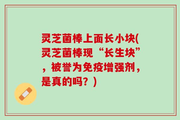 灵芝菌棒上面长小块(灵芝菌棒现“长生块”，被誉为免疫增强剂，是真的吗？)