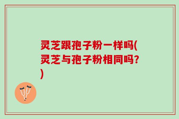 灵芝跟孢子粉一样吗(灵芝与孢子粉相同吗？)