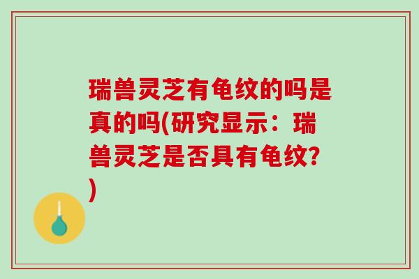 瑞兽灵芝有龟纹的吗是真的吗(研究显示：瑞兽灵芝是否具有龟纹？)