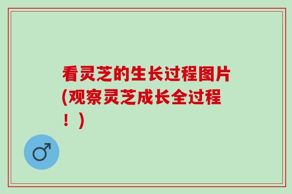 看灵芝的生长过程图片(观察灵芝成长全过程！)