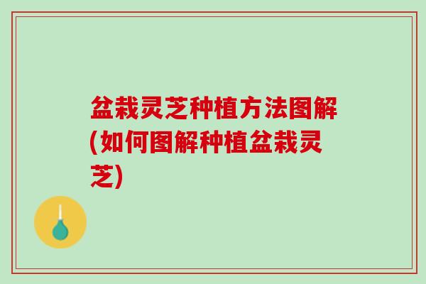 盆栽灵芝种植方法图解(如何图解种植盆栽灵芝)