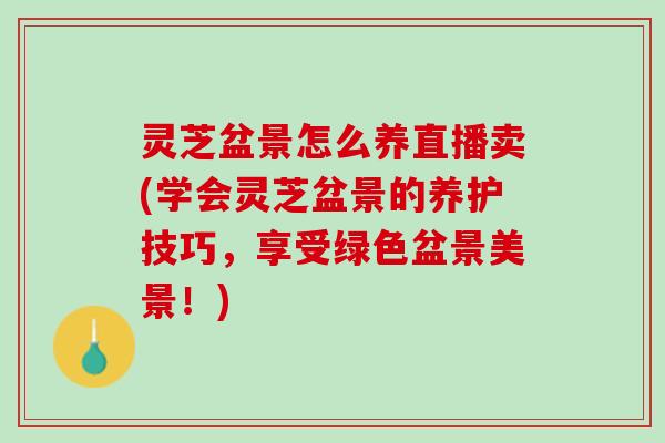 灵芝盆景怎么养直播卖(学会灵芝盆景的养护技巧,享受绿色盆景美景!) 灵芝盆景怎么养直播卖(学会灵芝盆景的养护技巧,享受绿色盆景美景!)