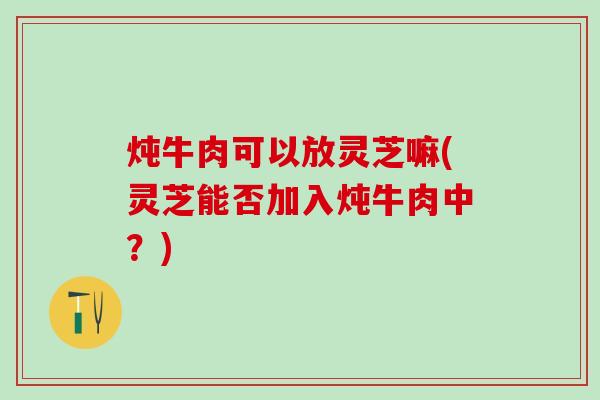 炖牛肉可以放灵芝嘛(灵芝能否加入炖牛肉中？)