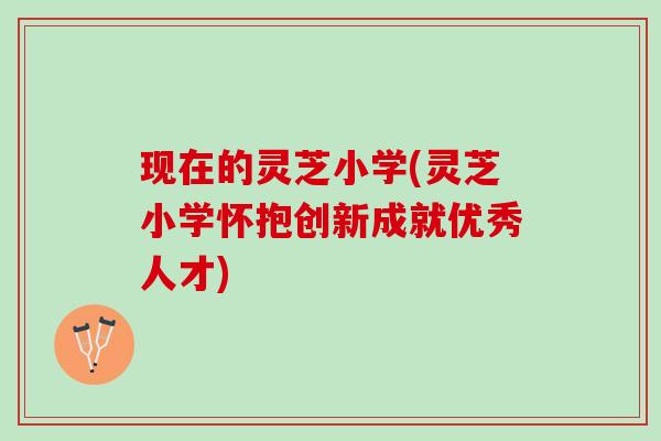 现在的灵芝小学(灵芝小学怀抱创新成就优秀人才)