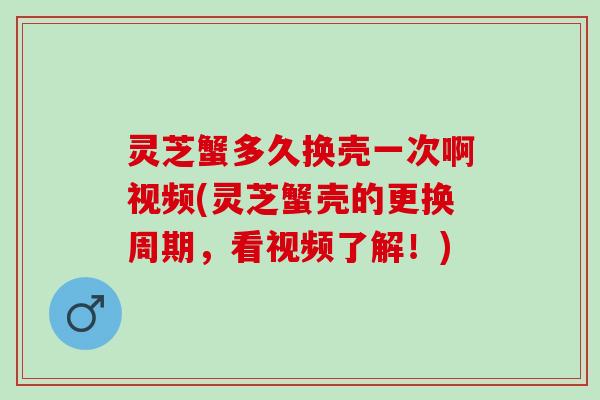 灵芝蟹多久换壳一次啊视频(灵芝蟹壳的更换周期,看视频了解!) 灵芝蟹多久换壳一次啊视频(灵芝蟹壳的更换周期,看视频了解!)