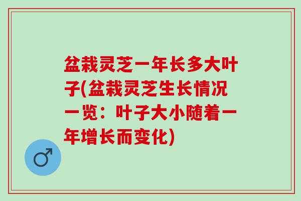 盆栽灵芝一年长多大叶子(盆栽灵芝生长情况一览：叶子大小随着一年增长而变化)