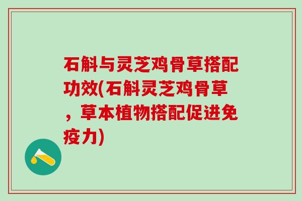 石斛与灵芝鸡骨草搭配功效(石斛灵芝鸡骨草，草本植物搭配促进免疫力)