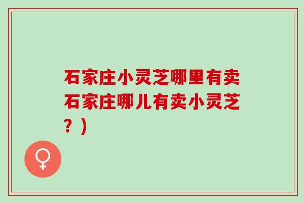 石家庄小灵芝哪里有卖石家庄哪儿有卖小灵芝？)
