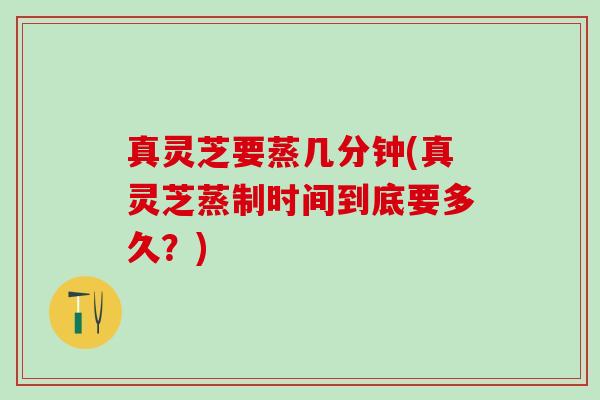 真灵芝要蒸几分钟(真灵芝蒸制时间到底要多久？)