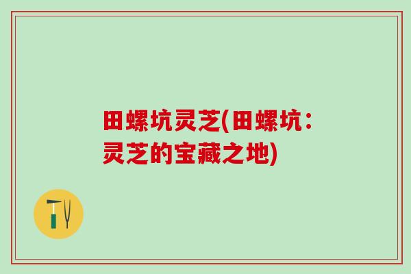 田螺坑灵芝(田螺坑：灵芝的宝藏之地)