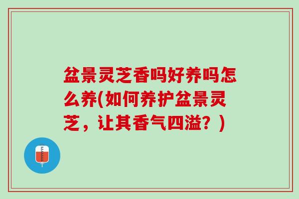 盆景灵芝香吗好养吗怎么养(如何养护盆景灵芝，让其香气四溢？)