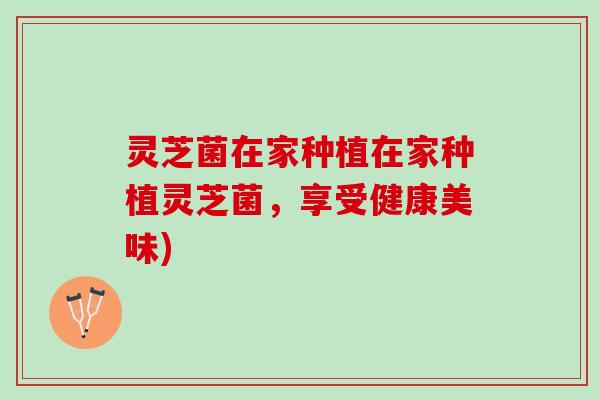 灵芝菌在家种植在家种植灵芝菌，享受健康美味)