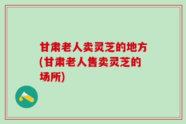 甘肃老人卖灵芝的地方(甘肃老人售卖灵芝的场所)