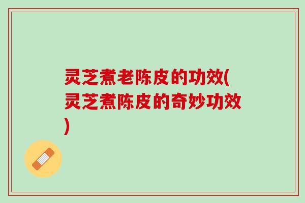 灵芝煮老陈皮的功效(灵芝煮陈皮的奇妙功效)