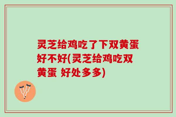 灵芝给鸡吃了下双黄蛋好不好(灵芝给鸡吃双黄蛋 好处多多)