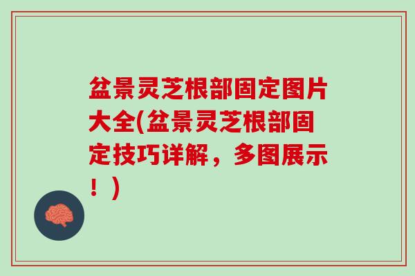 盆景灵芝根部固定图片大全(盆景灵芝根部固定技巧详解,多图展示!) 盆景灵芝根部固定图片大全(盆景灵芝根部固定技巧详解,多图展示!)