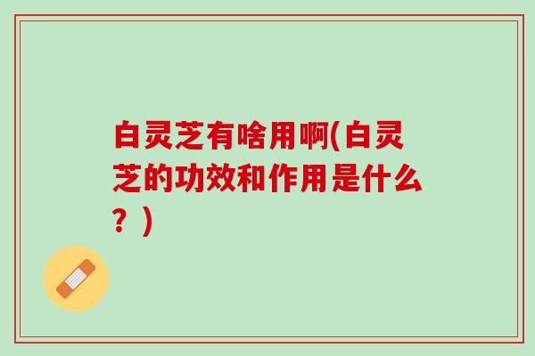 白灵芝有啥用啊(白灵芝的功效和作用是什么？)