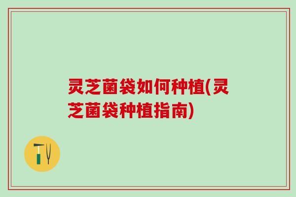 灵芝菌袋如何种植(灵芝菌袋种植指南)