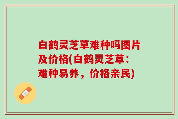 白鹤灵芝草难种吗图片及价格(白鹤灵芝草：难种易养，价格亲民)