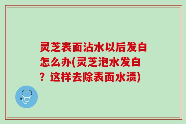 灵芝表面沾水以后发白怎么办(灵芝泡水发白？这样去除表面水渍)