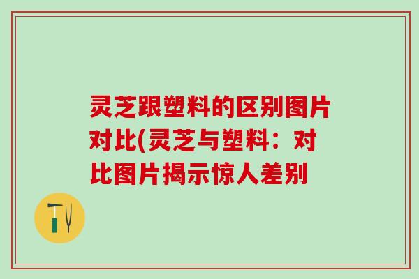 灵芝跟塑料的区别图片对比(灵芝与塑料:对比图片揭示惊人差别 灵芝跟塑料的区别图片对比(灵芝与塑料:对比图片揭示惊人差别