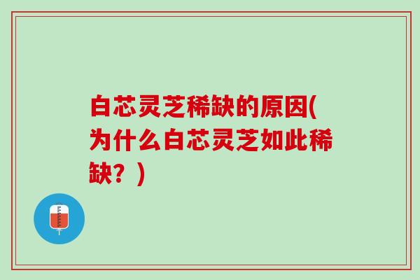 白芯灵芝稀缺的原因(为什么白芯灵芝如此稀缺?) 白芯灵芝稀缺的原因(为什么白芯灵芝如此稀缺?)
