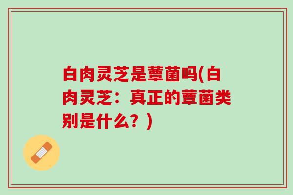 白肉灵芝是蕈菌吗(白肉灵芝：真正的蕈菌类别是什么？)