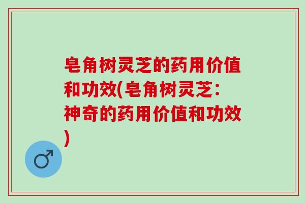 皂角树灵芝的药用价值和功效(皂角树灵芝：神奇的药用价值和功效)
